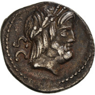 Monnaie, Procilia, Denier, Rome, TTB+, Argent, Babelon:1 - Röm. Republik (-280 / -27)