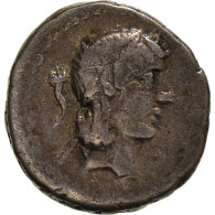 Monnaie, Calpurnia, Quinaire, Rome, TTB, Argent, Crawford:340/2e - Republic (280 BC To 27 BC)