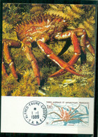 FDC-Carte Maximum Card # TAAF-FSAT 1989 (N°Yv. 140) Faune Antarctique -Lithodes-king Crab-crabe Royal-Königskrabbe- - FDC