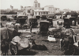 CARTE PHOTO   Saintes Maries De La Mer - Campement De Gitans  PHOTO GEORGE  ARLES ) - Saintes Maries De La Mer