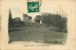 Sauzé Vaussais * Le Château Du Puy D'anché - Sauze Vaussais