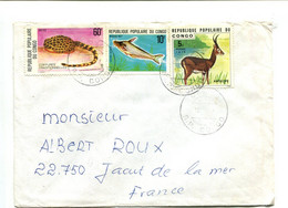 CONGO 1979 - Affranchissement Sur Lettre Pour La France - Poisson / Antilope / Coiffe - Autres & Non Classés