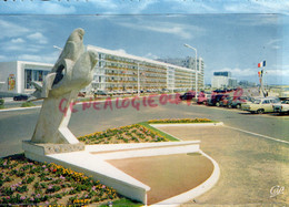 85- ST SAINT JEAN DE MONTS- LES OISEAUX DE MER  1966 - Saint Jean De Monts