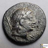 ROMA - CREPUSIA  -  Denario - 82/81 AC. - Republic (280 BC To 27 BC)