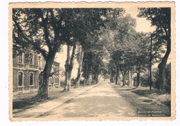 B-8679   MARCHE-en-FAMENNE : Avenue Du Monument - Marche-en-Famenne