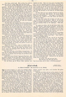 A102 1016 Freihofer / Curt Liebich Alpirsbach Schwarzwald Artikel / Bilder 1898 !! - Other & Unclassified