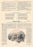 A102 1037 Richard Püttner Südtirol Weinbau Meran Terlan Bozen Artikel / Bilder 1903 !! - Sonstige & Ohne Zuordnung