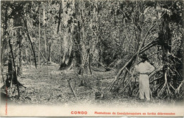CONGO FRANCAIS CARTE POSTALE NEUVE -PLANTATIONS DE CAOUTCHOUQUIERS EN FORETS.......... AVEC AU DOS REPIQUAGE  COMMERCIAL - Storia Postale