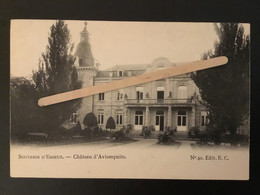 SOUVENIR D’ESNEUX « 1900 CHÂTEAU  D’AVIOMPUITS Nº40 « PANORAMA Edit E.C - Esneux