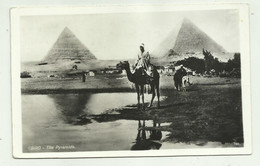 CAIRO - THE PYRAMIDS  - VIAGGIATA  FP - Cairo