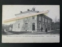 SOUVENIR DE PLAINEVAUX «  Nº 86 LA GRAND’ROUTE, VUE PRISE DE CHEZ GILON 1905 « PANORAMA - Esneux