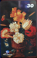 Phone Card Manufactured By Telemar In 2000 - Series Primavera - Painting Flowers And Birds - Painter Nilton Mendonça - Bloemen