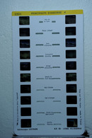 LESTRADE :    1204    PRINCIPAUTE D'ANDORRE  4 - Visionneuses Stéréoscopiques
