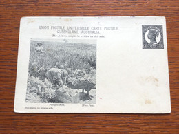 ST30349 Queensland Stationery Entier Postal Ganzsache Unused Ppsc Pineapple Field Ananas - Storia Postale