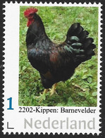 Nederland  2022-1  Kippen: Chicken Poule  Barnevelder   Postfris/mnh/neuf - Nuovi