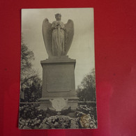 CARTE PHOTO DIEUZE MONUMENT - Dieuze