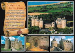 56 Sarzeau Le Château De Suscinio Ancienne Résidence Des Ducs De Bretagne * - Sarzeau