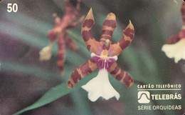 Phone Card Manufactured By Telebras In 1996 - Series Orchids - Miltona Cowesi - Bloemen