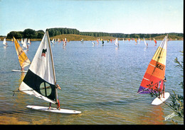 59 - Villeneuve D'Ascq : Le Lac Du Héron (planches à Voile) - Villeneuve D'Ascq