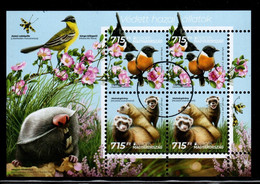 HUNGARY - 2021. SPECIMEN S/S - EUROPA 2021: Protected National Wildlife  /  Polecat / Songbird  MNH!!! - Proeven & Herdrukken