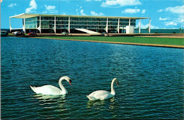 Brazil Brasilia Highland Palace Swans On Lake - Brasilia