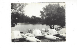 CABRIERES  D AIGUES  ETANG DE LA BONDE         ****   RARE      A SAISIR **** - Cabrieres D'Aigues