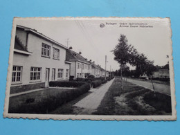 Deken HABRAEKENLAAN Avenue Doyen Habraeken ( Ed. Boekh. Rutten / Winderix ) Anno 19?? ( Voir / Zie Photo ) ! - Beringen