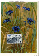 FLEUR + BLEUET  = ISRAEL 1952 = CARTE MAXIMUM + N° Yvert  55 - Maximumkaarten