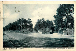 St Brévin Les Pins * Avenue De Mindin , De Plantagenet Et Mondain - Saint-Brevin-les-Pins