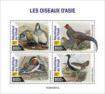 CHAD 2021 MNH Birds Of Asia Asiatische Vögel Oiseaux Asie M/S - OFFICIAL ISSUE - DHQ2208 - Otros