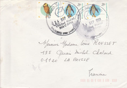 ARGENTINE AFFRANCHISSEMENT COMPOSE SUR LETTRE POUR LA FRANCE 1998 - Covers & Documents