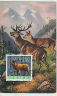 Pologne Carte Maximum 1965 Cerf 1489 - Cartes Maximum