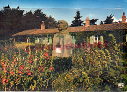 85- ST SAINT VINCENT SUR JARD- LA STATUE DE GEORGES CLEMENCEAU   -VENDEE - Autres & Non Classés