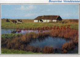 85- ST SAINT VINCENT SUR JARD- BOURRINE VENDEENNE  -VENDEE - Sonstige & Ohne Zuordnung