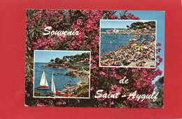 83----Souvenir De SAINT-AYGULF--multi-vues----voir 2 Scans - Saint-Aygulf