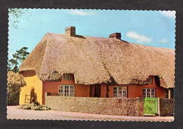 Ireland Irish Cottage, CO LIMERIK. Low Cottage And Strawthatch Once A Typical Sight, Now Becoming A Rarity ( N° 47) - Limerick