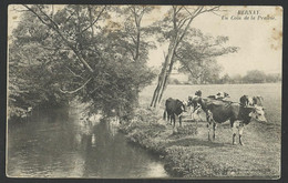 BERNAY - Un Coin De La Prairie 1915 - Vache - Cow - Old Postcard (see Sales Conditions) 05008 - Bernay