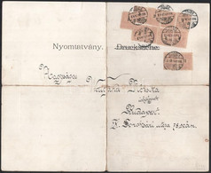 1900 11 X Fekete Számú 2kr Nyomtatványon ( A Gödöllői Kastélyt ábrázoló Kép) - Other & Unclassified