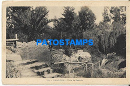 180940 URUGUAY PIRIAPOLIS VISTA DE CASCADA CIRCULATED TO ARGENTINA POSTAL POSTCARD - Uruguay