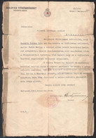 1942 Hősi Halált Halt őrvezető Vöröskeresztes értesítője, Hajtott, Viseltes Szélű - Other & Unclassified