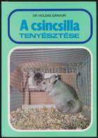 Dr. Holdas Sándor: A Csincsilla Tenyésztése. Bp., 1981, Mezőgazdasági. Kiadói Kartonált Papírkötés. - Unclassified
