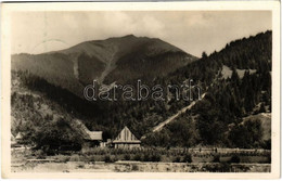 T2 1944 Borsa (Máramarosi Kárpátok), Horthy Miklós Csúcs / Mountain - Unclassified