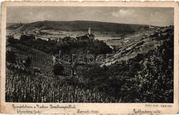 * T2/T3 Gundelsheim Am Neckar; Dreiburgenblick Ehrenburg, Horneck, Guttenberg / Three Town View (EK) - Unclassified