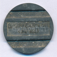 ~1930-1940. "BP.SZFV. GÁZMŰVEK 1M^3 GÁZ" Zn Gázbárca T:2- Patina - Unclassified