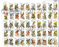 ETATS-UNIS USA Grande Enveloppe FDC Oiseaux Et Fleurs, Birds & Flowers 1982 - Enveloppe Cartonnée Pour L'envoi - Briefe U. Dokumente