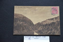 CARTOLINA POSTKARTE POSTCARD POSTAL AMERICA CANADA NEWFOUNDLAND THE GORGE VG 1917 - Otros & Sin Clasificación