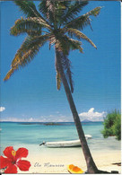 ILE MAURICE , MAURITIUS , Paysage Du Nord - Mauritius