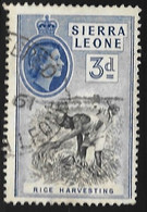 SIERRA LEONA - SERIE BASICA - AÑO 1955 - Nº  CATALOGO  YVERT 0185 - USADO - Sierra Leone (1961-...)