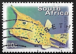 SUDAFRICA - PECES - AÑO 2000 - Nº  CATALOGO  YVERT 1127L - USADO - Oblitérés