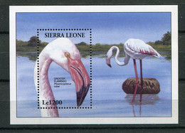 Sierra Leone ** Bloc N° 249 Oiseaux - Sierra Leone (1961-...)